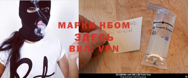 молекула духа Арсеньев