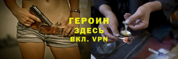молекула духа Арсеньев