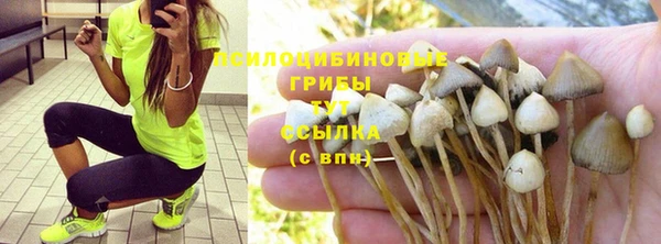 молекула духа Арсеньев