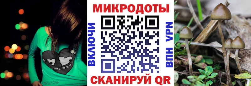 Псилоцибиновые грибы мухоморы  Лахденпохья 